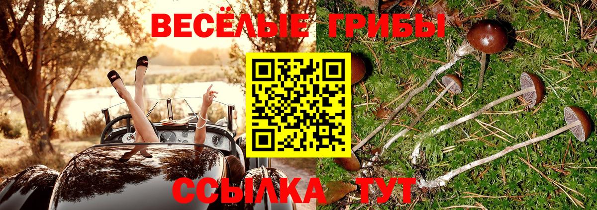 Галлюциногенные грибы ЛСД Алушта