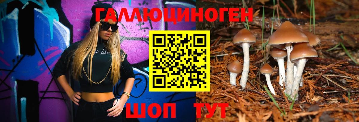 Галлюциногенные грибы Psilocybine cubensis  Вход с VPN  Алушта  Галлюциногенные грибы GOLDEN TEACHER 